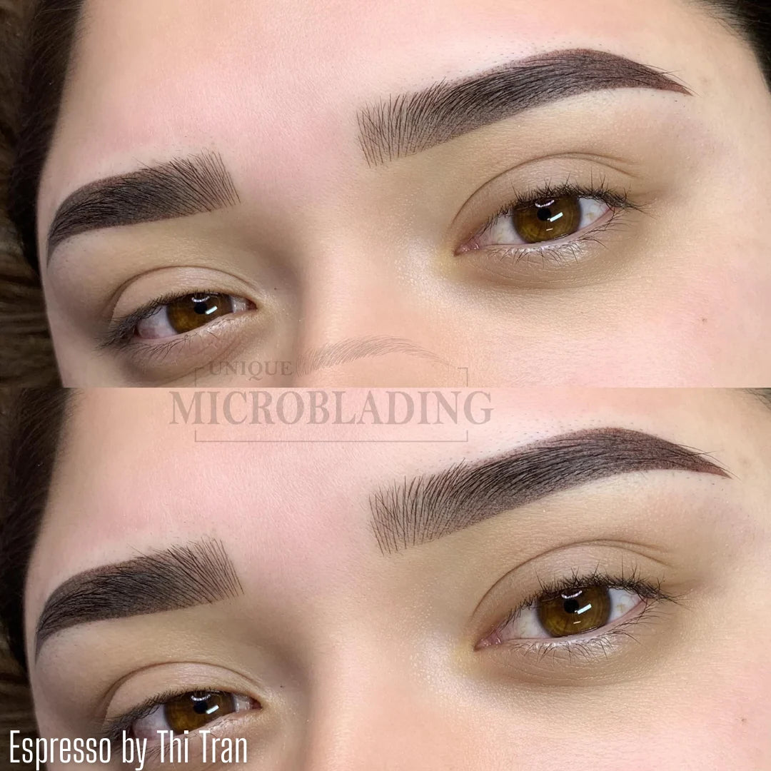 LI Pigments Aqua- Espresso Brow Pigment, 15ml