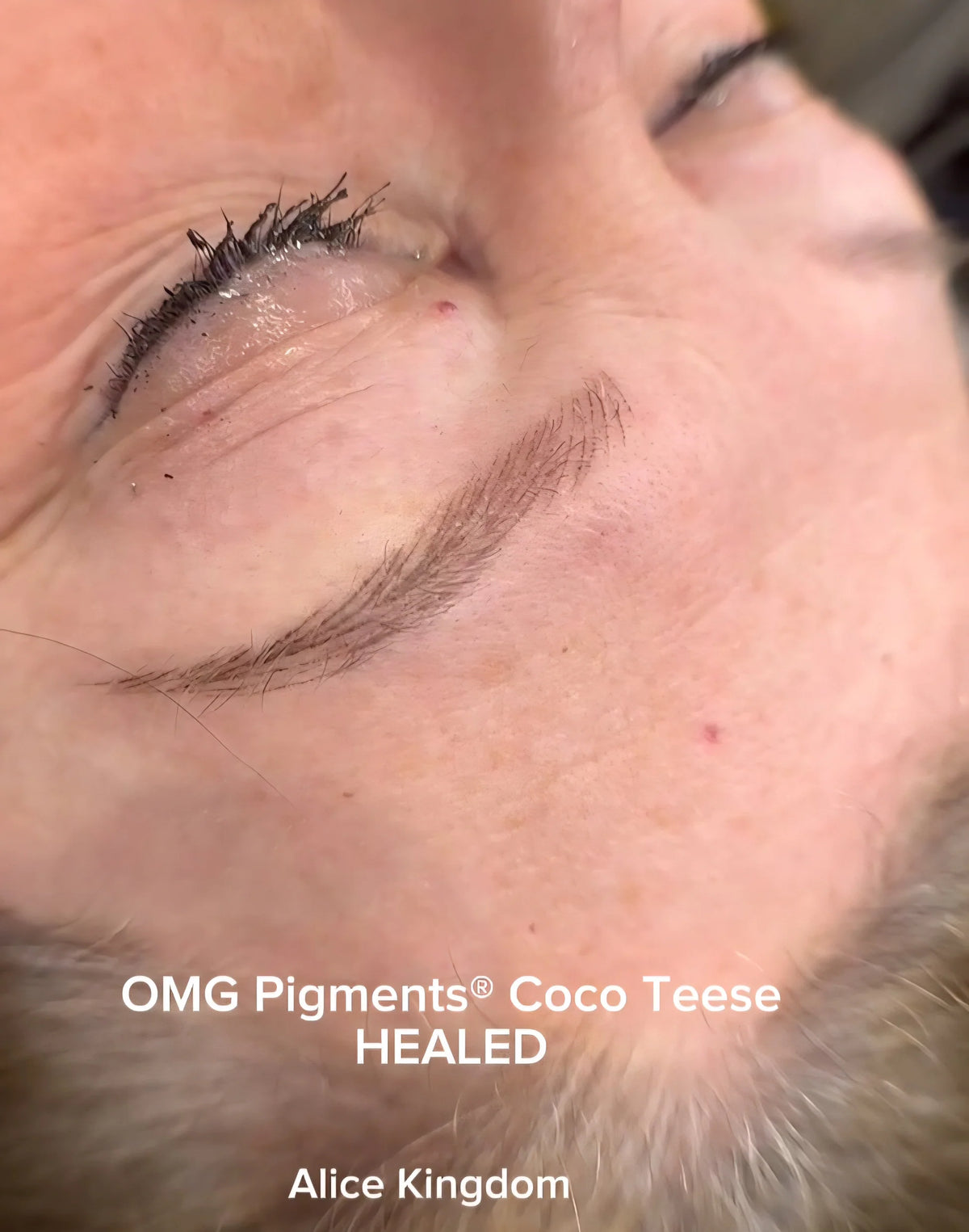 OMG Coco Teese Brow Pigment