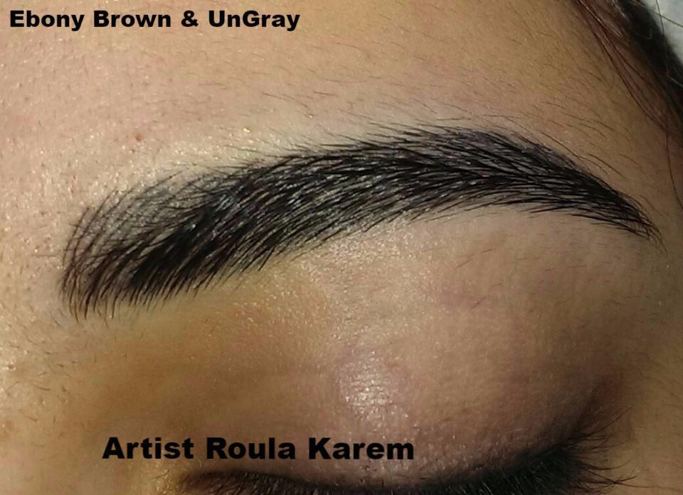 Li Pigments Aqua- Ebony Brown Brow Pigment, 15ml