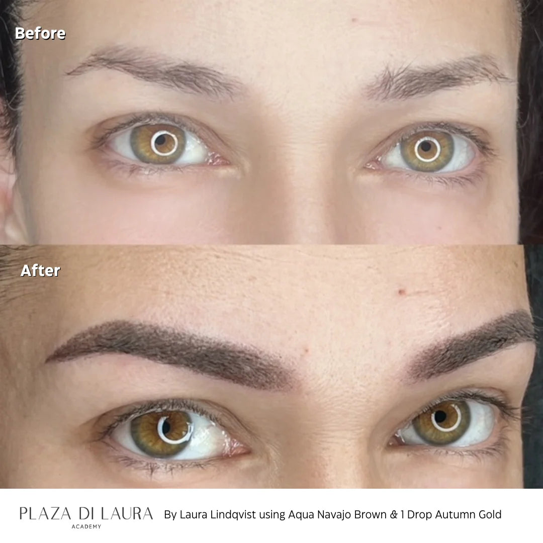 LI Pigment Aqua- Navajo Brown Brow Pigment, 15ml