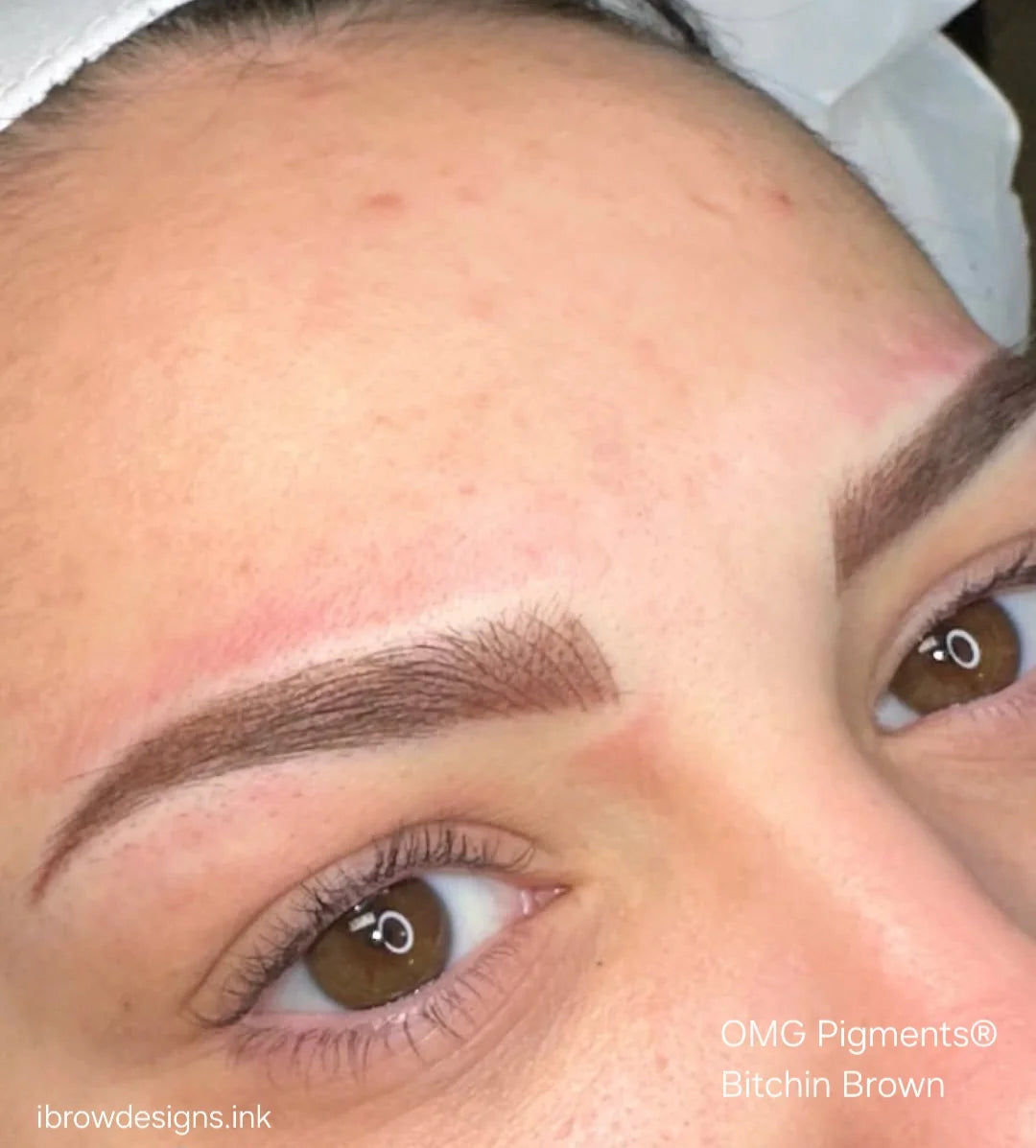 OMG Bitchin' Brown Brow Pigment