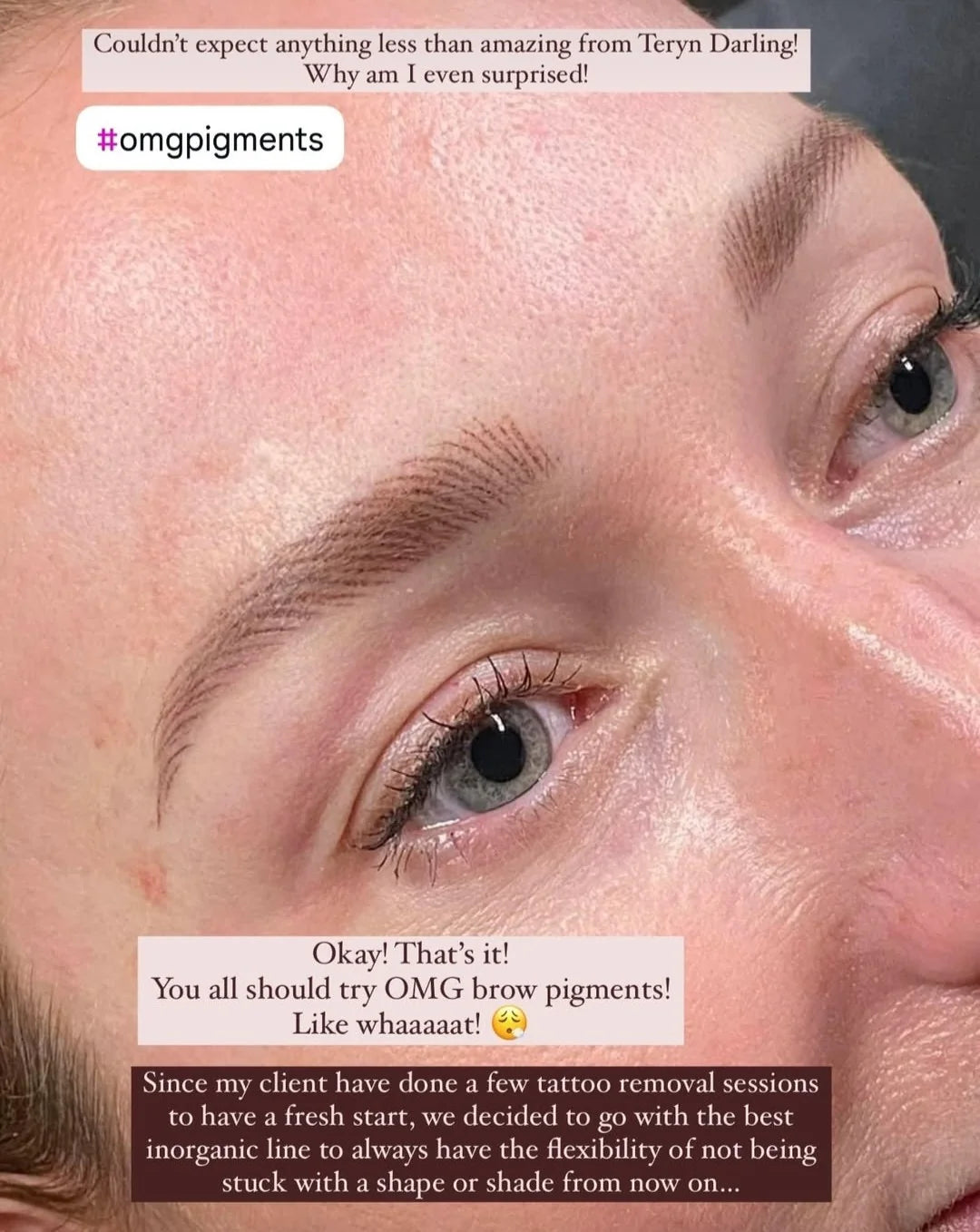 OMG Bitchin' Brown Brow Pigment