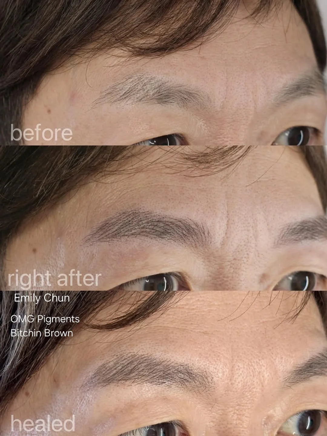OMG Bitchin' Brown Brow Pigment