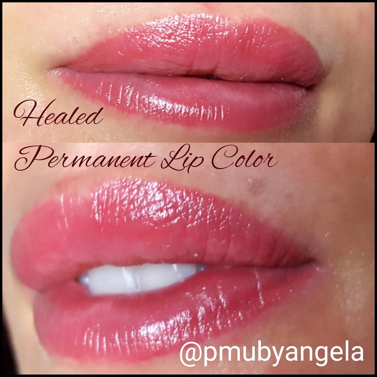Li Pigments Aqua Global- Sugared Rose Lip Pigments, 15 ml